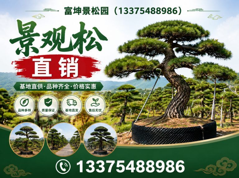 东平县富坤景松园展示图
